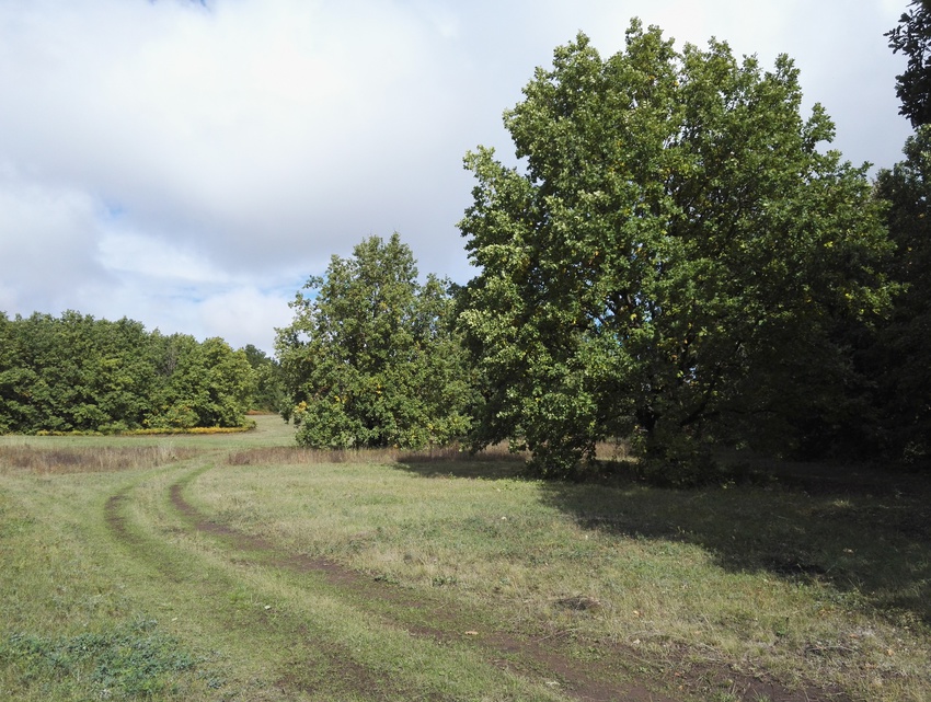 Природа Алтаево