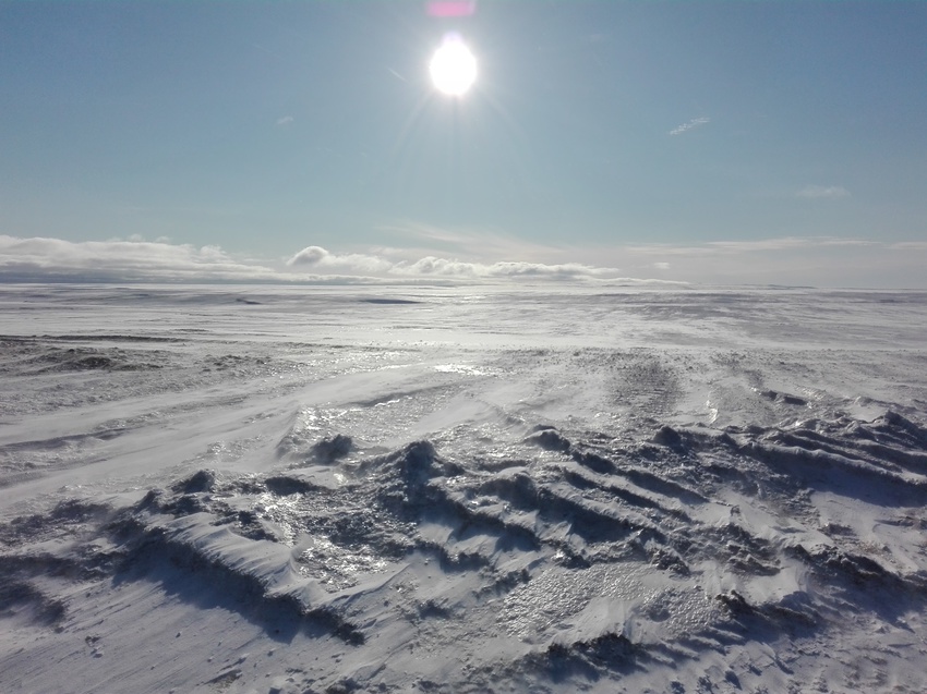 Новая земля рогачево фото