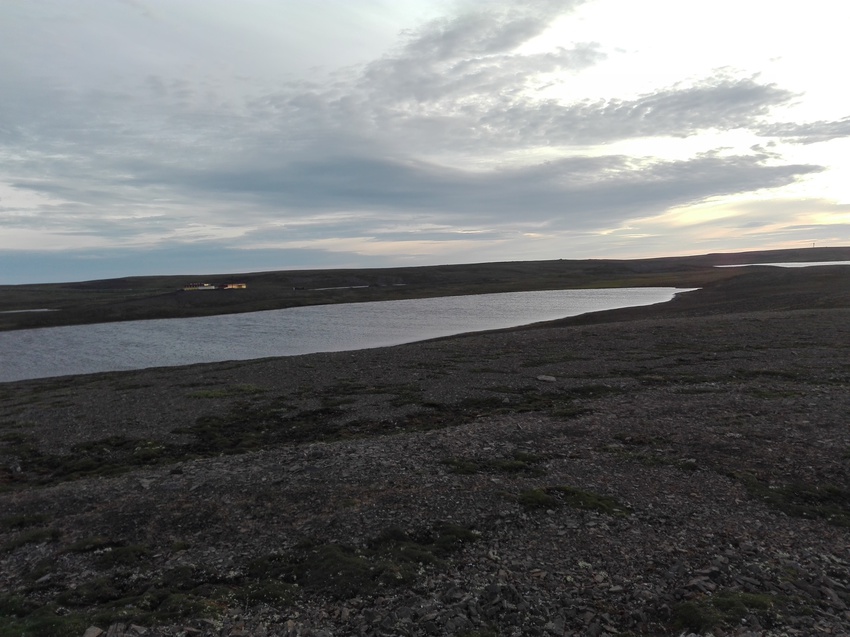 Природа Новой Земли