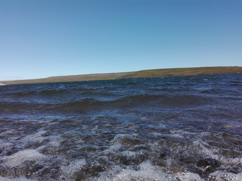 Природа Новой Земли