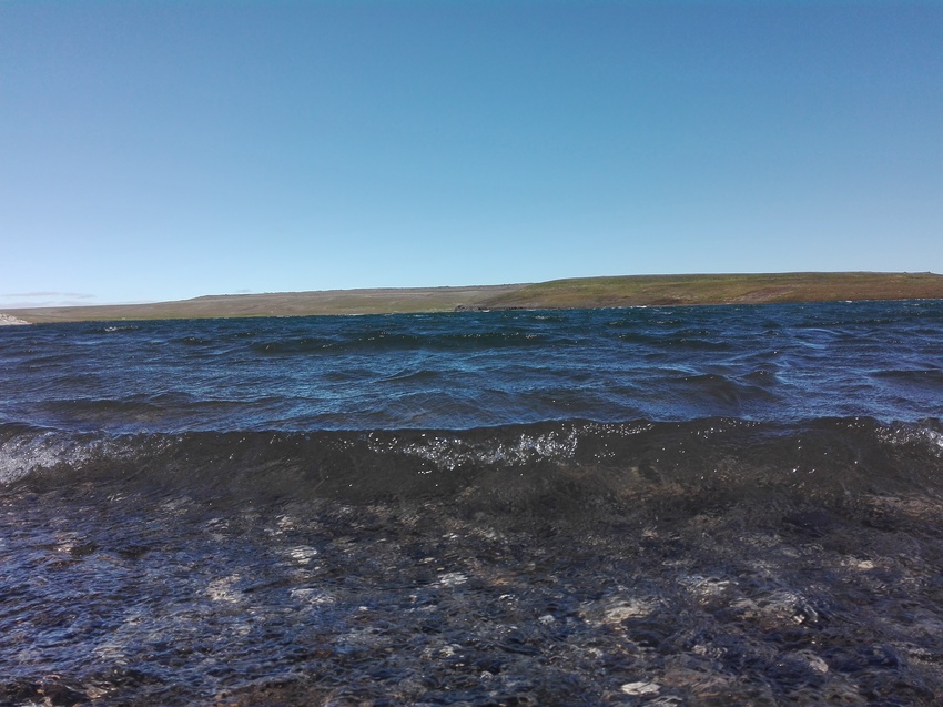 Природа Новой Земли