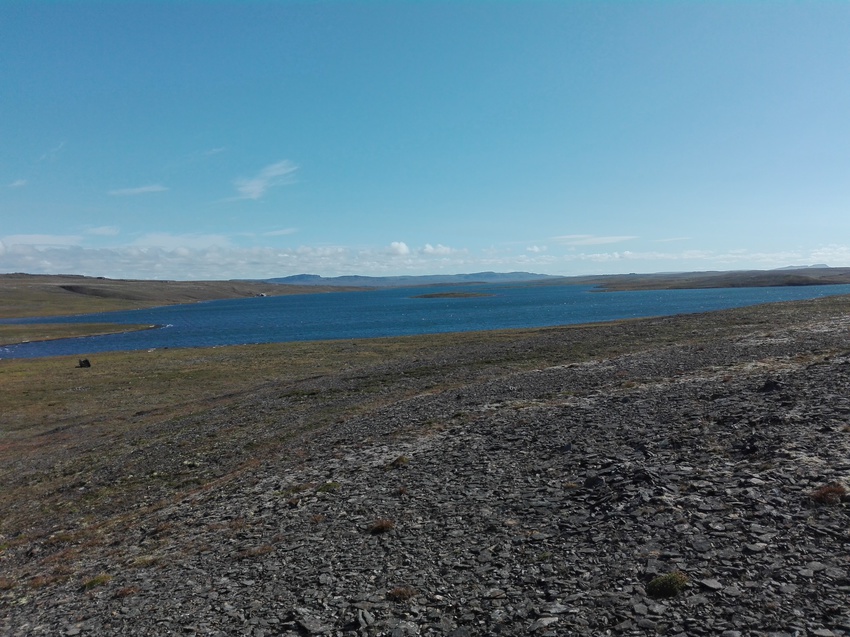 Природа Новой Земли