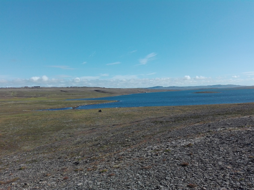 Природа Новой Земли