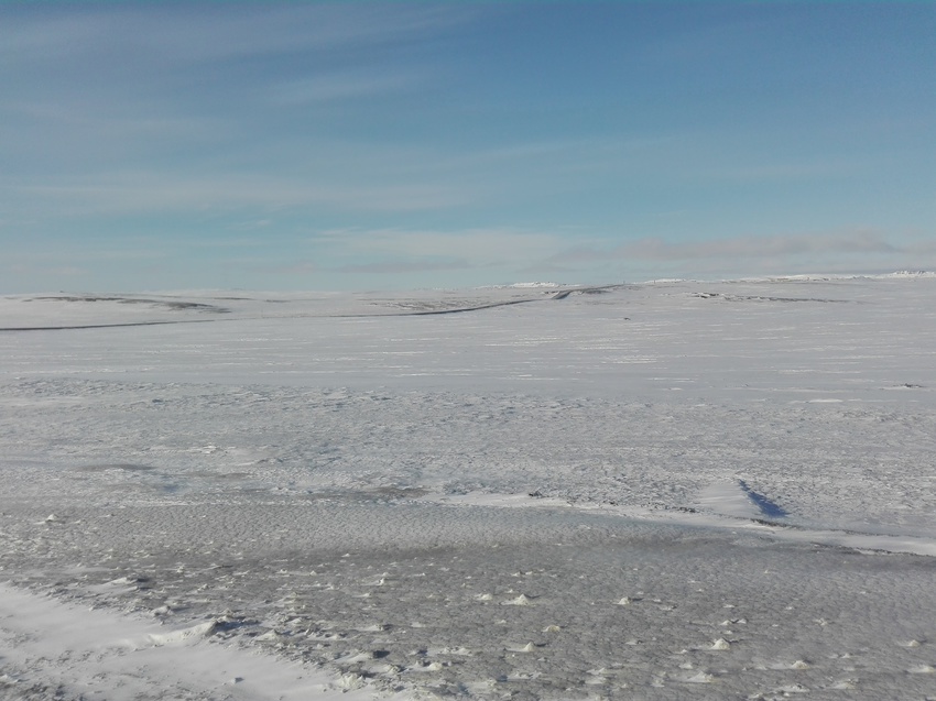 Заполярная тундра