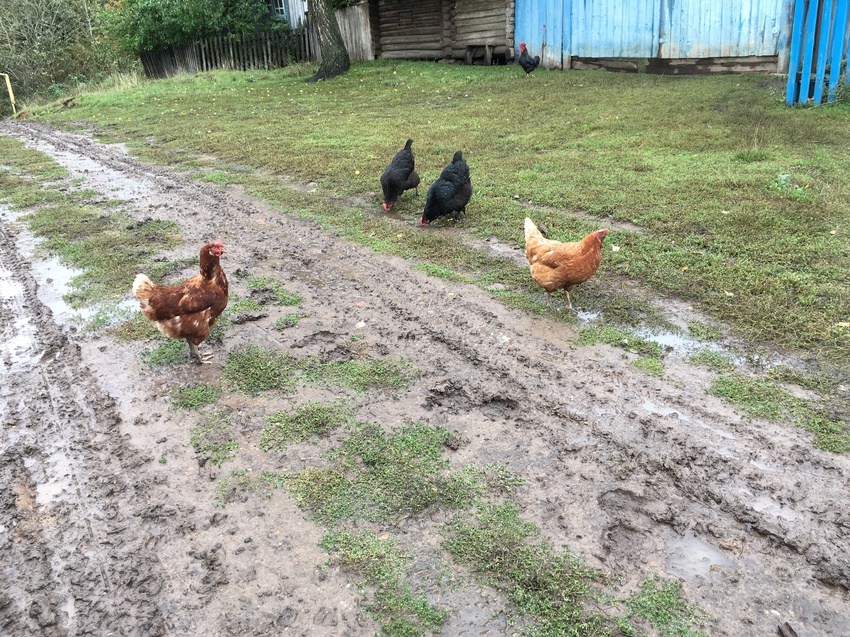 На улице Мира