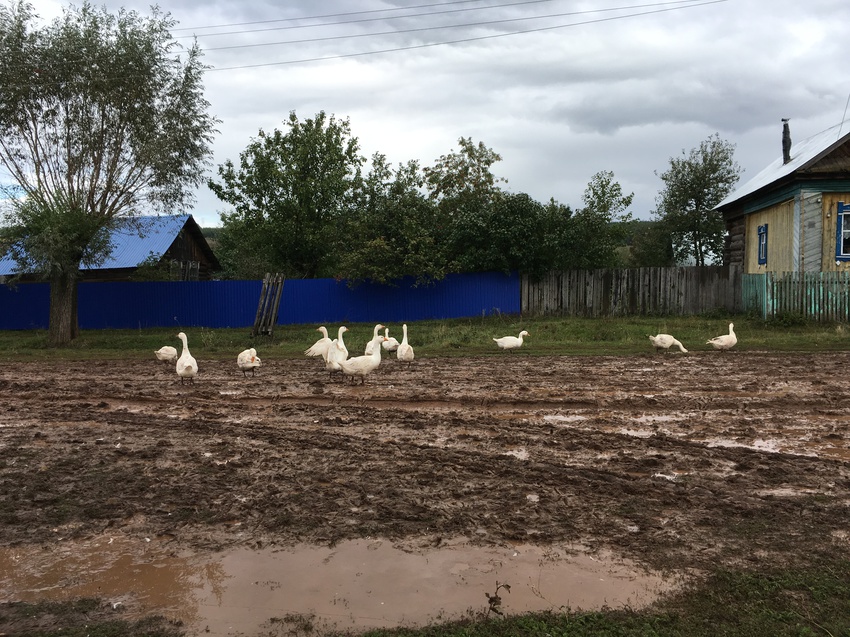 Бураевский сельсовет