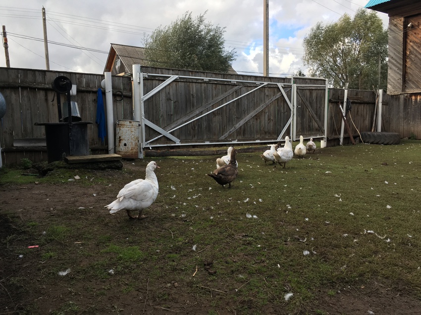 На улице Мира