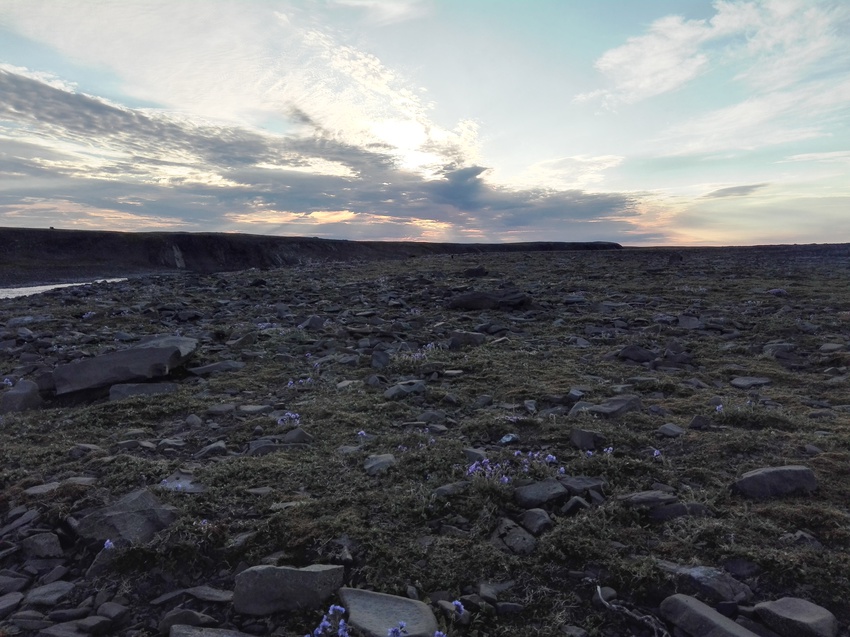 Заполярная тундра