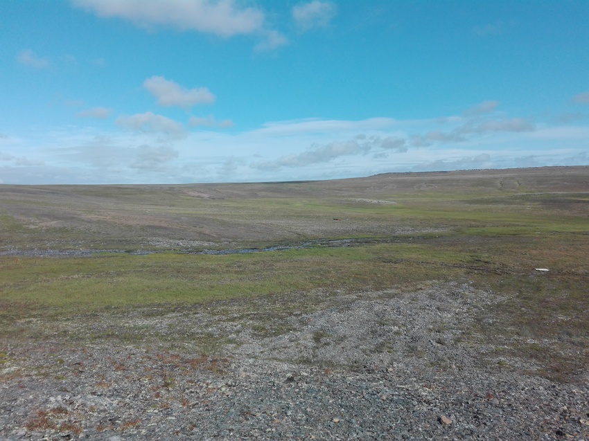 Заполярная тундра