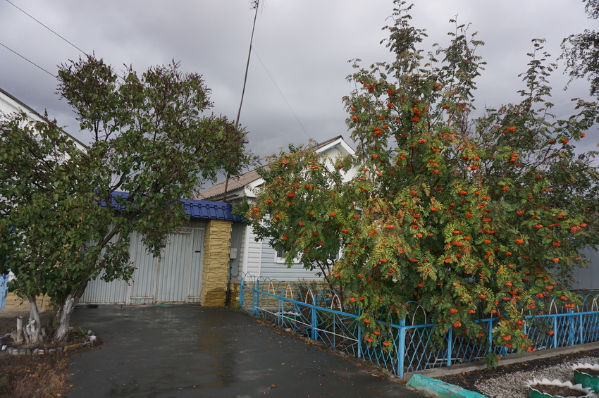 На улице Краснознамённой