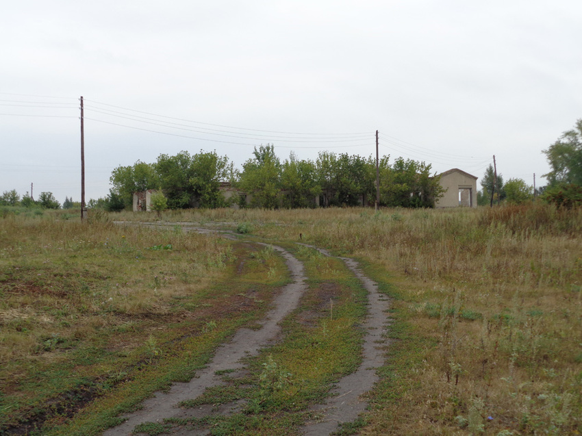 Село Марьинка, дорога и фасад по длине Марьинской ЛЗС