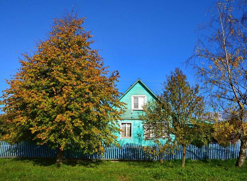 Осень в Мартынове