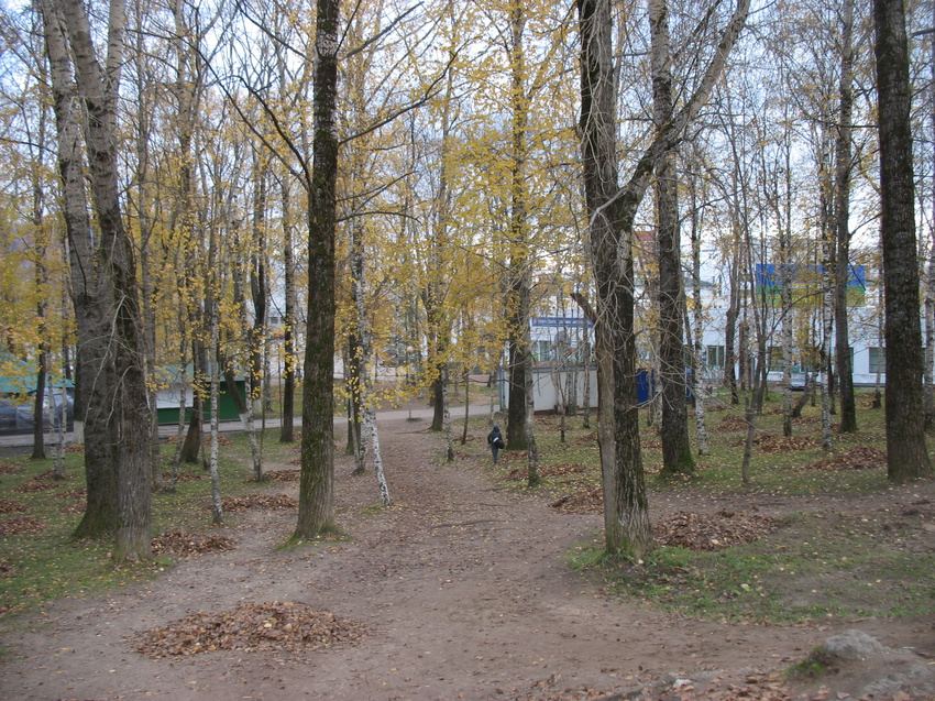 Сыктывкар 2016