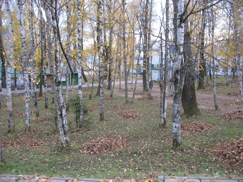 Сыктывкар 2016