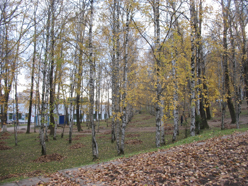 Сыктывкар 2016