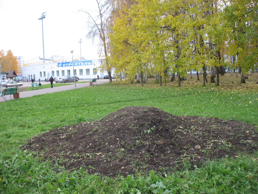 Сыктывкар 2016