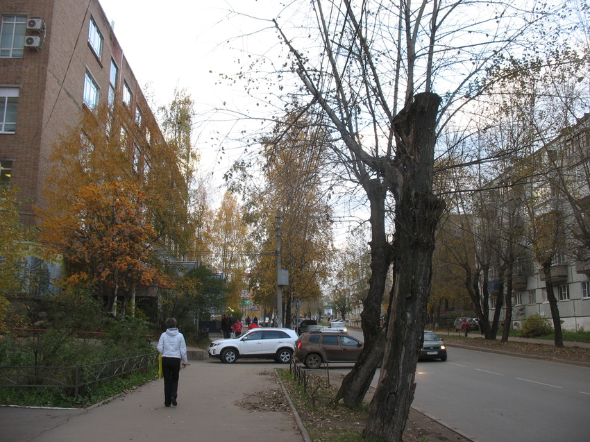 Сыктывкар 2016