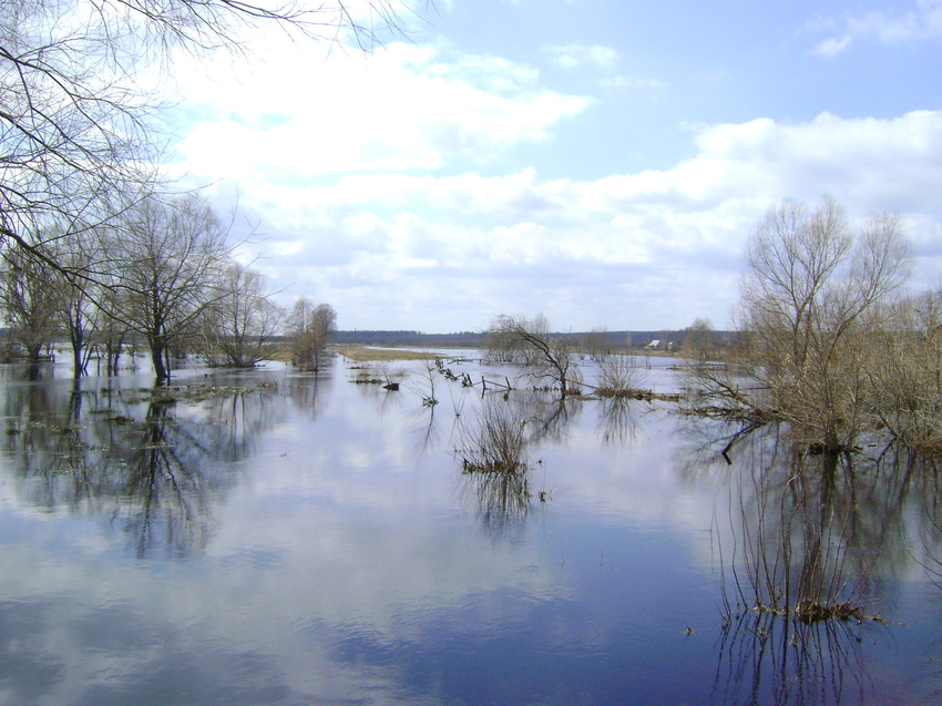 Повень на р.Таль