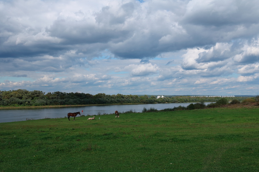 Каширский район фото