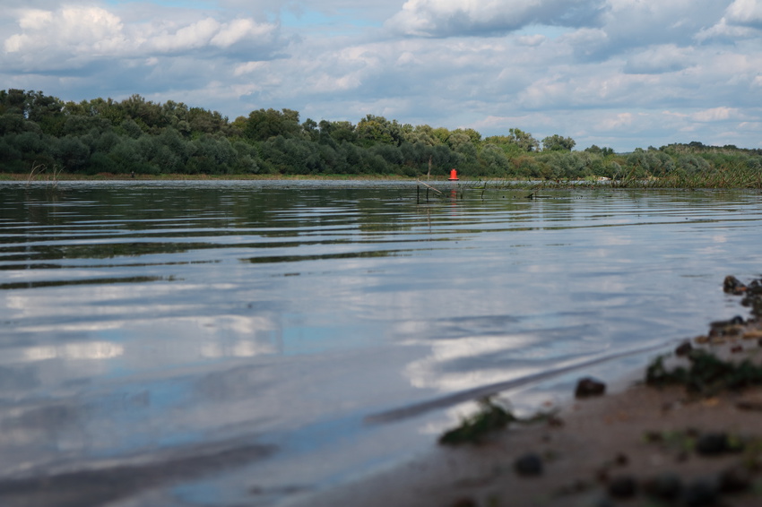 Река Ока, Кашира