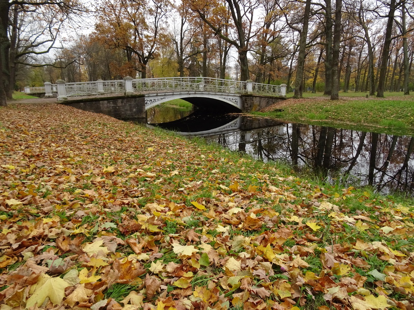 Александровский парк. Октябрь-2016.