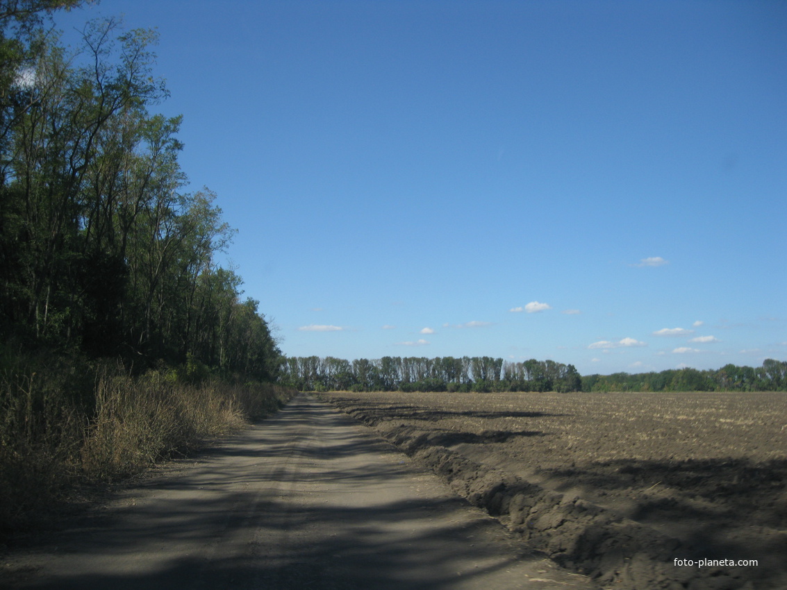 Земли близ Новоясенской станицы Староминского района Краснодарского края, сентябрь 2016 года.