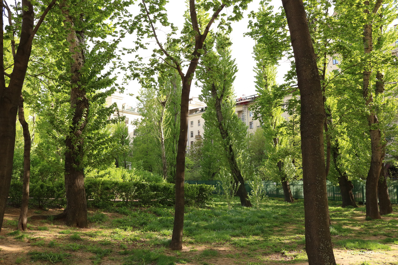 Высотка на Котельнической набережной