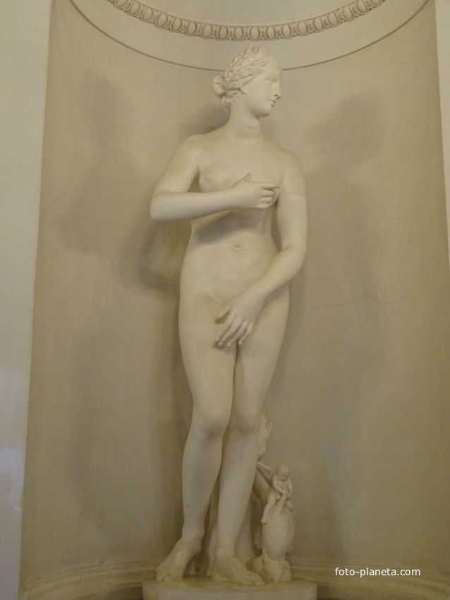 В залах Павловского дворца