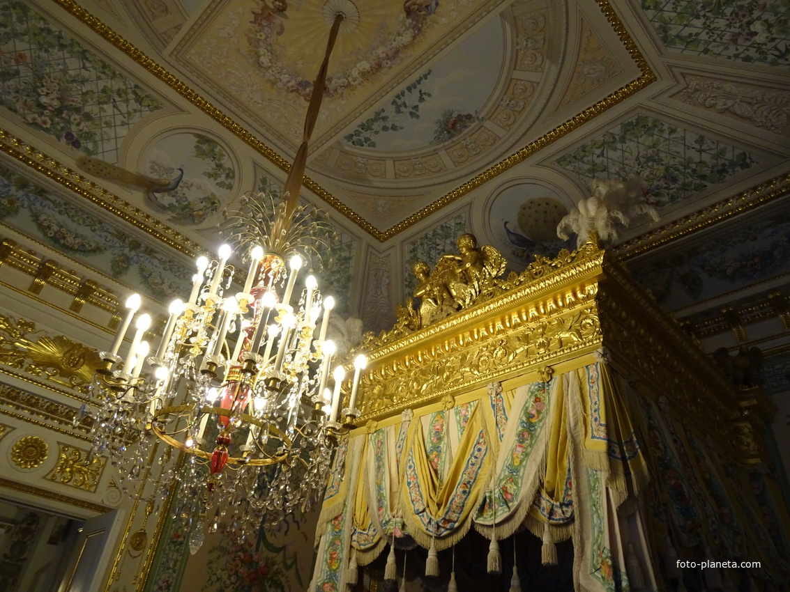 В залах Павловского дворца