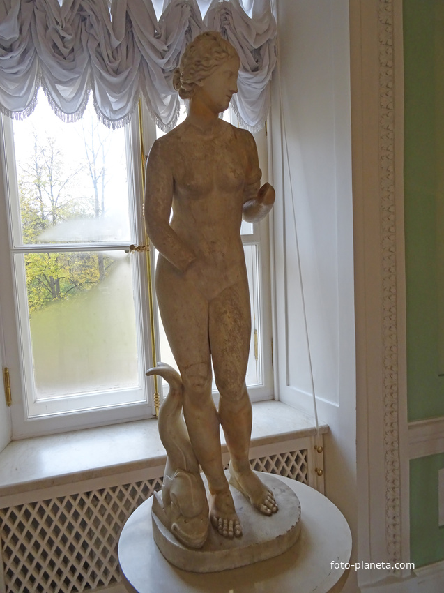 В залах Павловского дворца