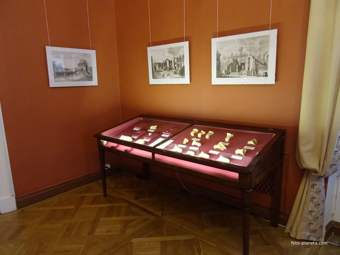 В залах Павловского дворца