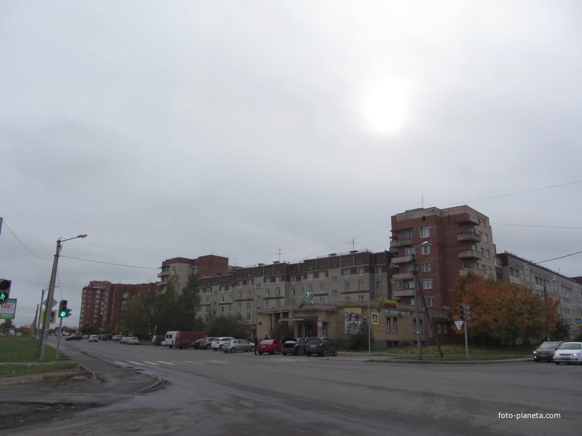 Гатчина, мкрн Аэродром, ул Генерала Кныша