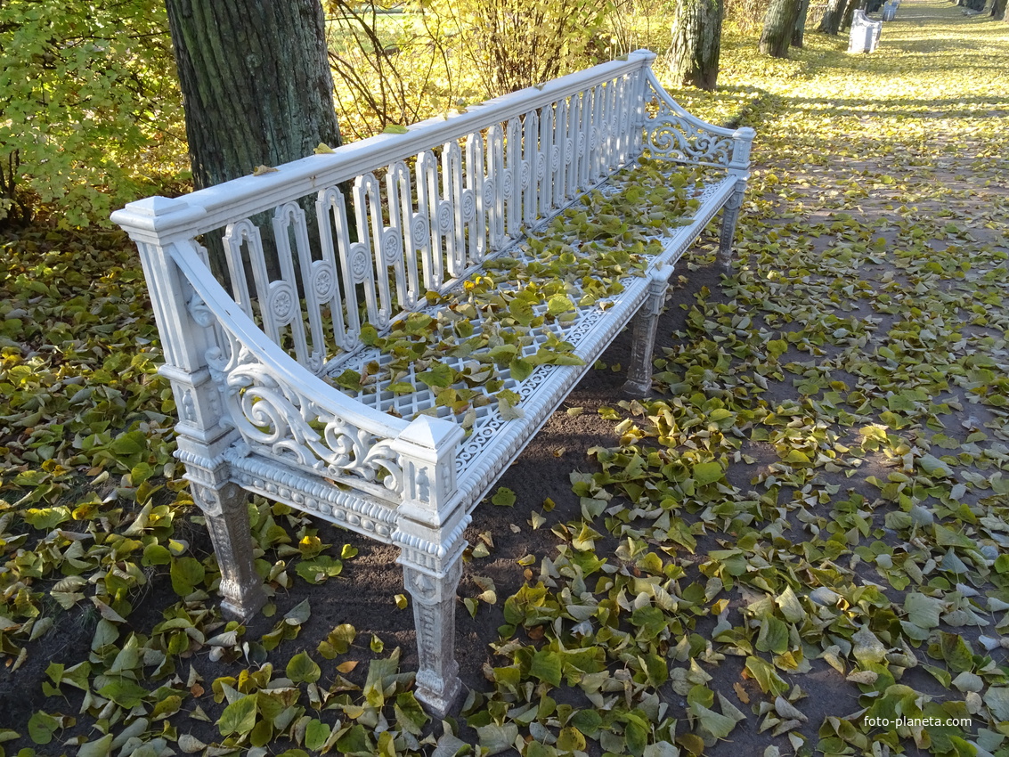 В Павловском парке