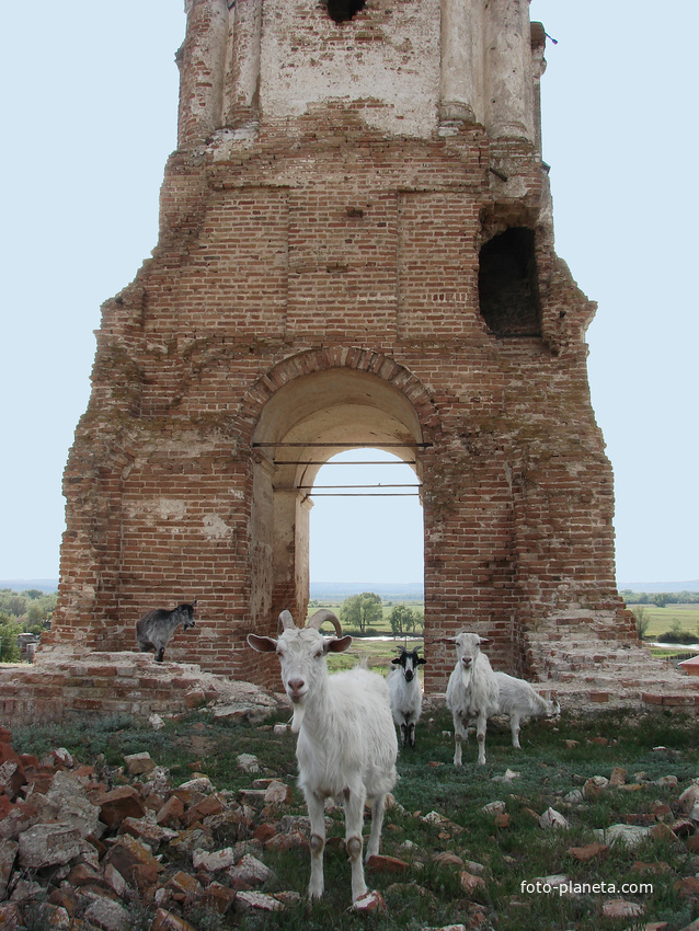 Колокольня разрушенной церкви Троицы Живоначальной. 12 мая 2009 года
