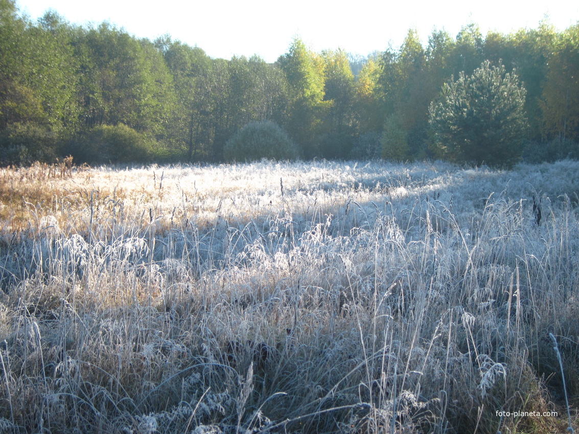 Берсениха,осень 2010