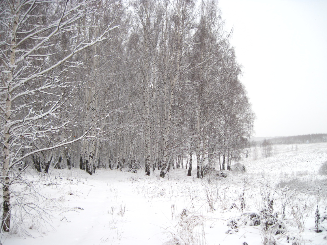 Берсениха,декабрь 2010