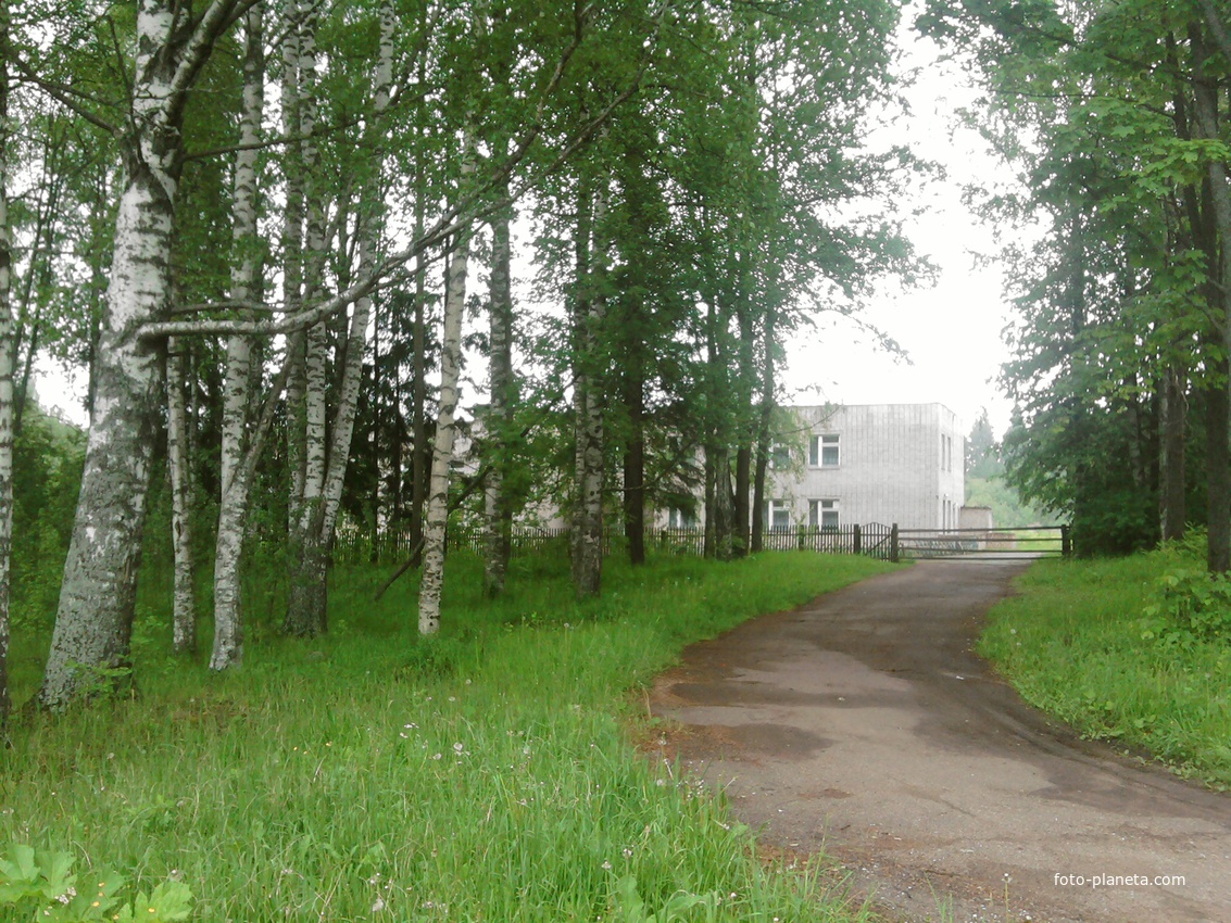 Лутовёнка, новая  школа, 1998 года  постройки.