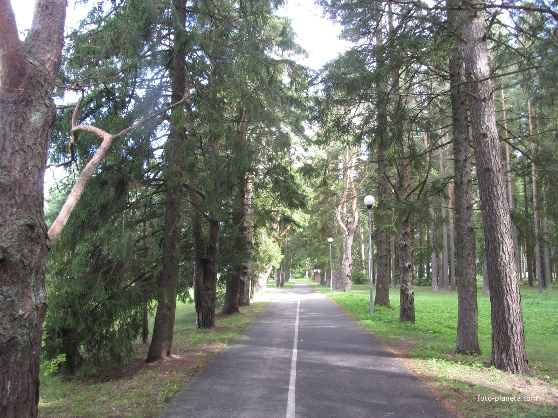 Вело-пешеходная дорожка в Оруском парке