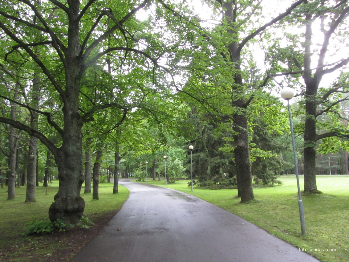 Аллея в Ору-парке