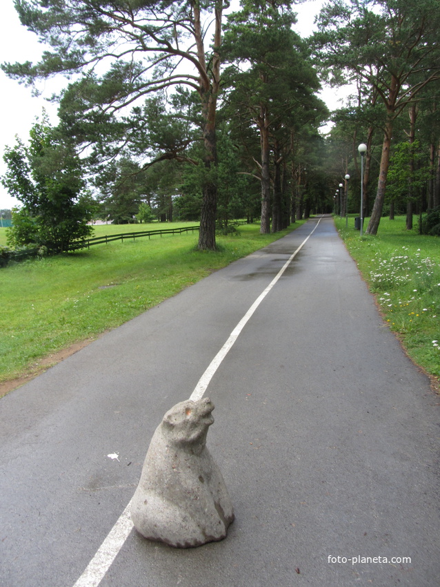 Вело-пешеходная дорожка