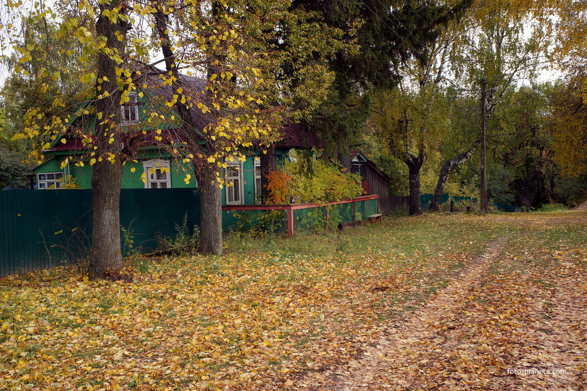 Васильсурск ул Гоголя-октябрь 2016г.