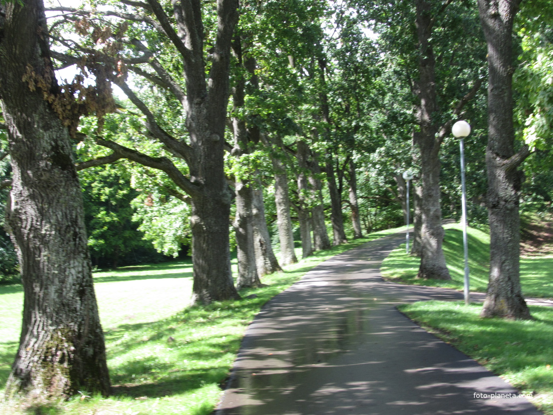 Старинная аллея в парке-Ору