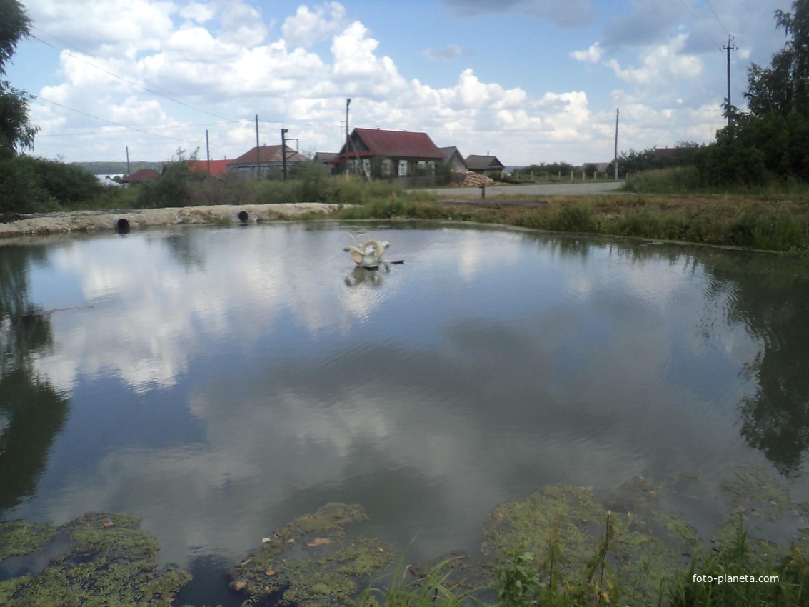 А белый лебедь а пруду...