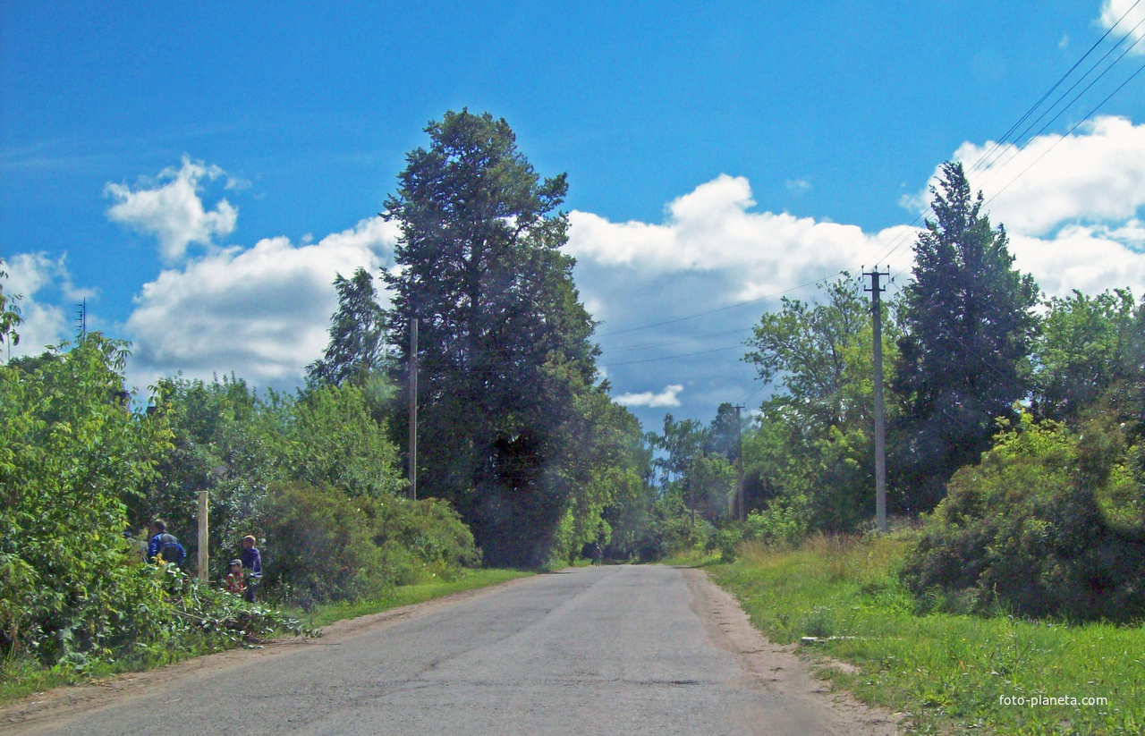 Дорога на деревню Воронцово