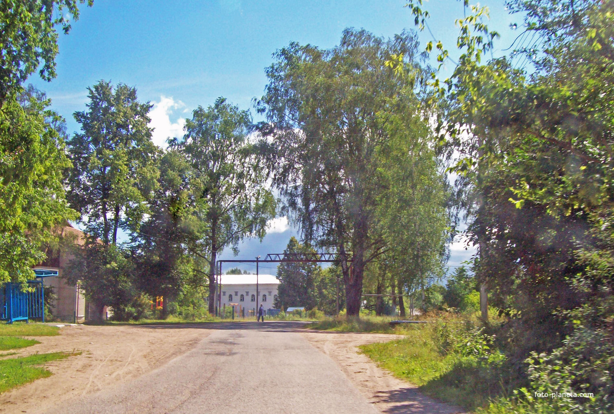 Деревня Воронцово.