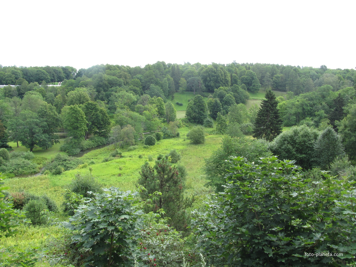 Тойла. Ору-парк. Вид на нижнюю часть парка Знаменной горы