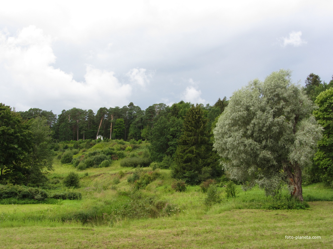 Тойла. Ору-парк.