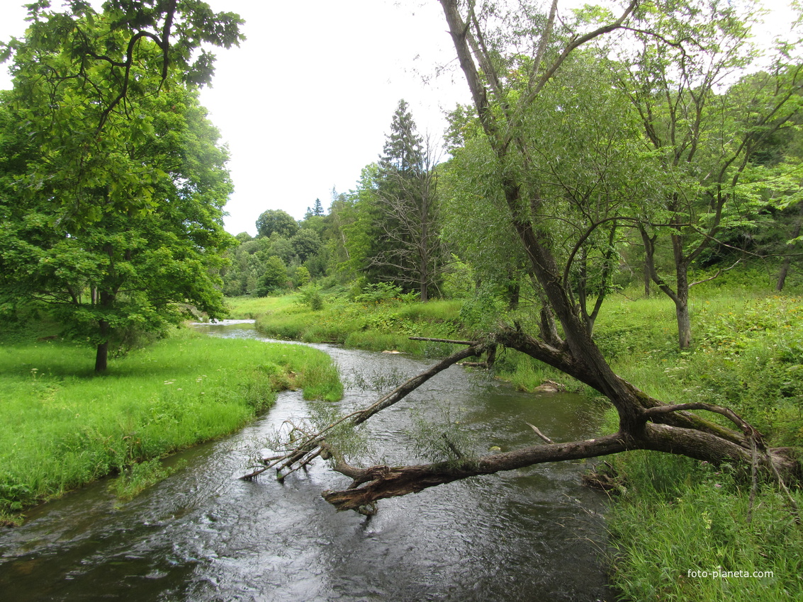 Река Пюхайыга в нижней части парка
