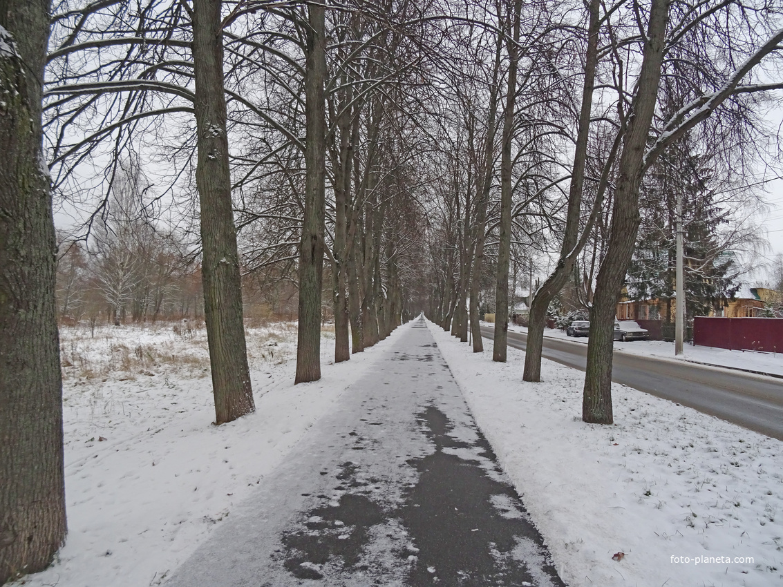 Улица Красного Курсанта