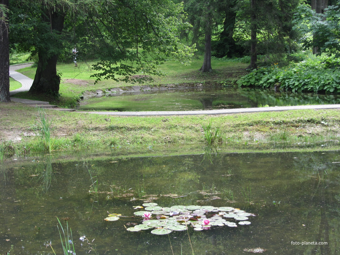 Тойла, Ору-парк. Дендрарий